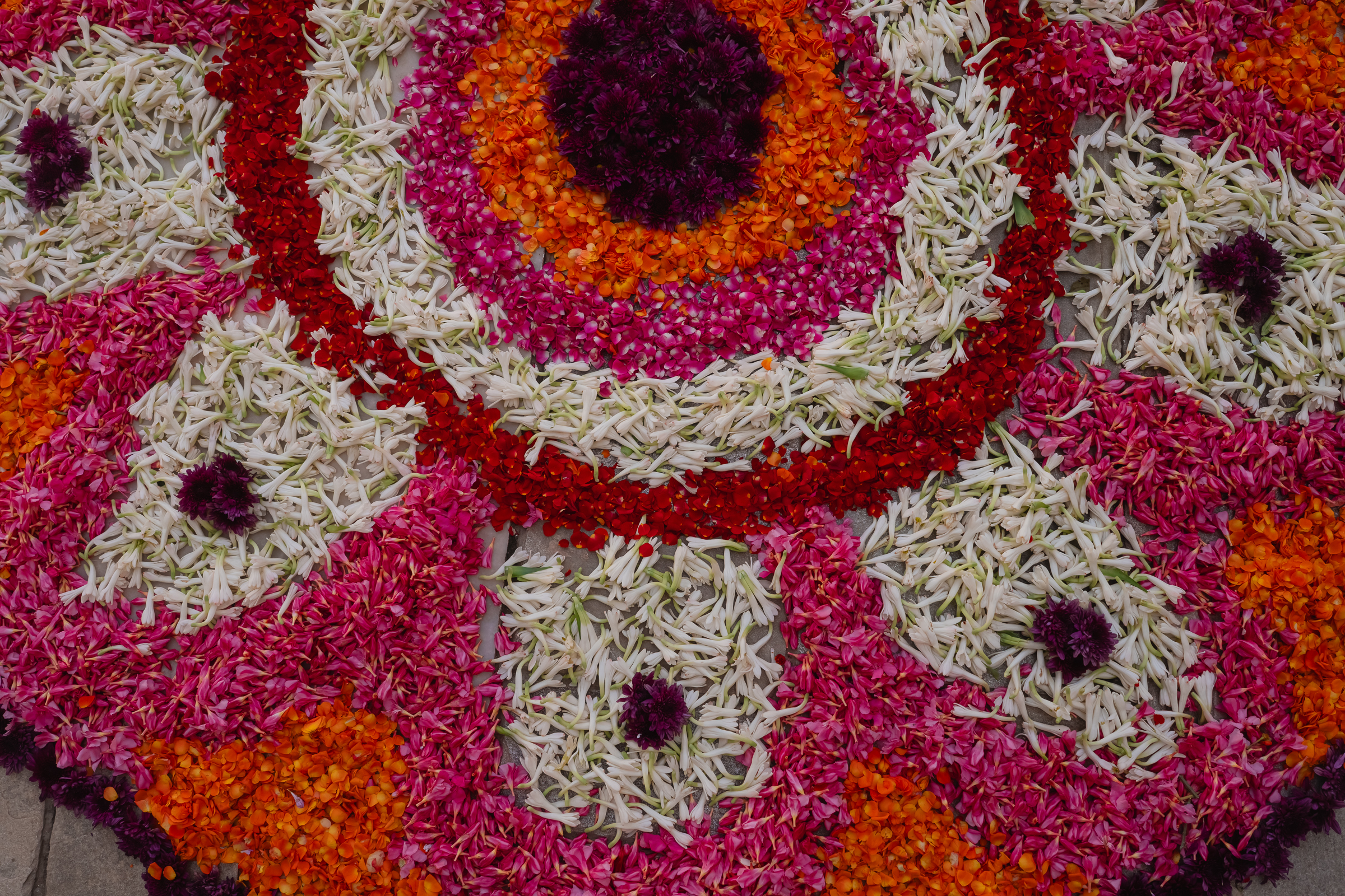 Image from Akhila Anand